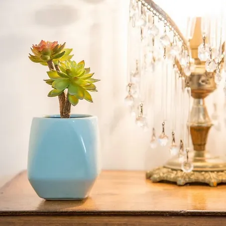 Sunny, Bright And Quiet Apartment, By Timecooler Lissabon