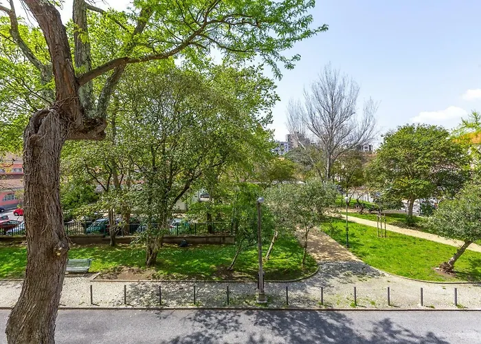 Apartment Sunny, Bright And Quiet Apartment, By Timecooler Lisbon