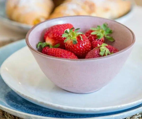 Apartment Sunny, Bright And Quiet Apartment, By Timecooler