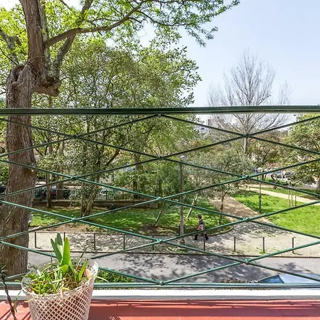 Sunny, Bright And Quiet Apartment, By Timecooler *